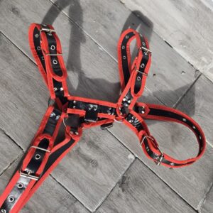 a. Harness leather Black red trim