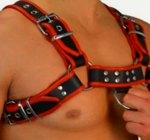 aab Leather harness red black
